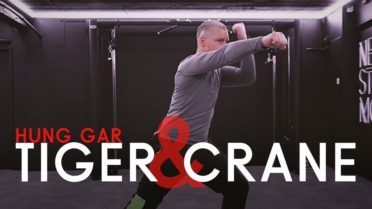 Hung Gar Kung Fu Tiger and Crane YouTube