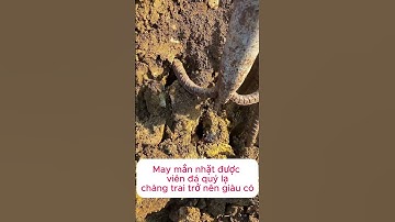 Nghèo khó tột cùng, may mắn tột đỉnh: Chàng trai nhặt được đá quý tiền tỷ #shorts #ruby #spinel