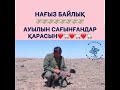 ❤️🐑❤️Нағыз геракл қозылар!!!