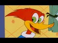 Woody becomes a dad for a day | Woody Woodpecker