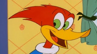 Woody becomes a dad for a day | Woody Woodpecker