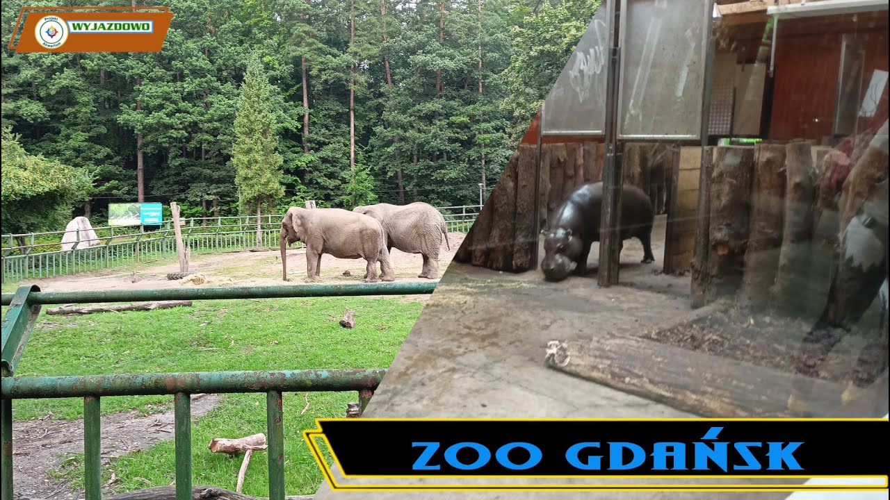 ZOO GDAŃSK