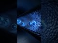 “How Batteries Store Energy”