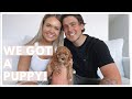 WE GOT A PUPPY! | Meet Honey Our Cavoodle!