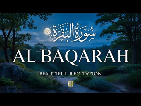 Surah Al-Baqarah (سورة البقره) | Powerful Quran Tilawat for Protection & Blessings | Alaa Aqel