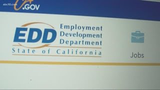 Self-employed having issues applying for Pandemic Unemployment Assistance program