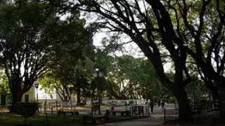 UNA TARDE EN SAN ISIDRO