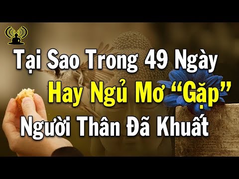 Tại Sao Từ