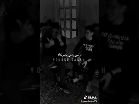 كتاكيت وحلمهم يرشقو في السيط حمو طيخا 2022