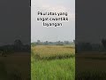 Pkul atas yang sngat cwantikk #layangan #layangan #funny #benanglayangan #lucu #layangantanggalan