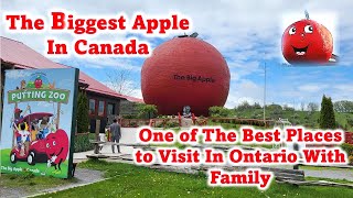 Big Apple Colborne, Ontario, Canada Walking Tour | Things to Do At The Big Apple Farm Ontario