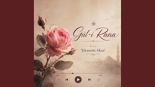 Gül-i Rana - Şirazem Aksa