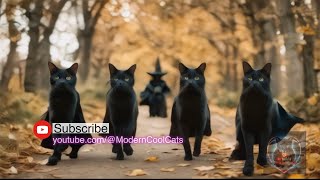 Witches, Black Cats, and Moonlit Magic: A Bewitching Halloween in the Enchanted Woods 🧙‍♀️🌙🐱 by ModernCoolCats 112 views 7 months ago 41 seconds