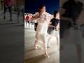 Osaka Expo 2025 People #shorts