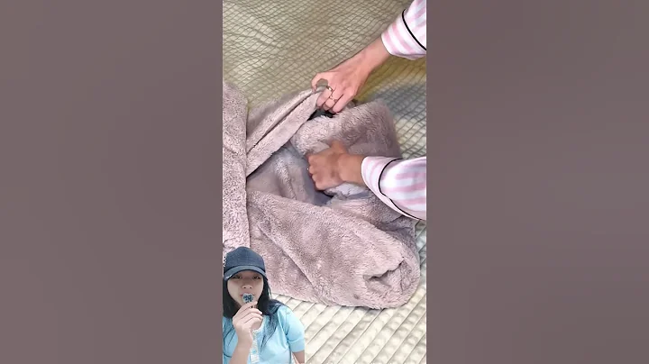 Video 11741081: sphynx cat cute