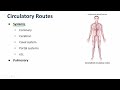 Introduction to Vasculature