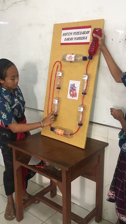 Mekanisme Sistem Peredaran Darah Manusia Mata Pelajaran IPA kelas 8 semester