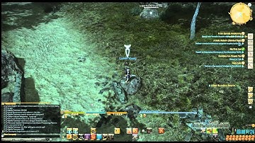 Final Fantasy XIV - Mining bot, a common problem