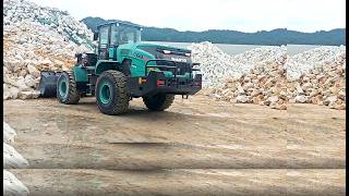 Shantui 19Tons Electric Purnew Evolution