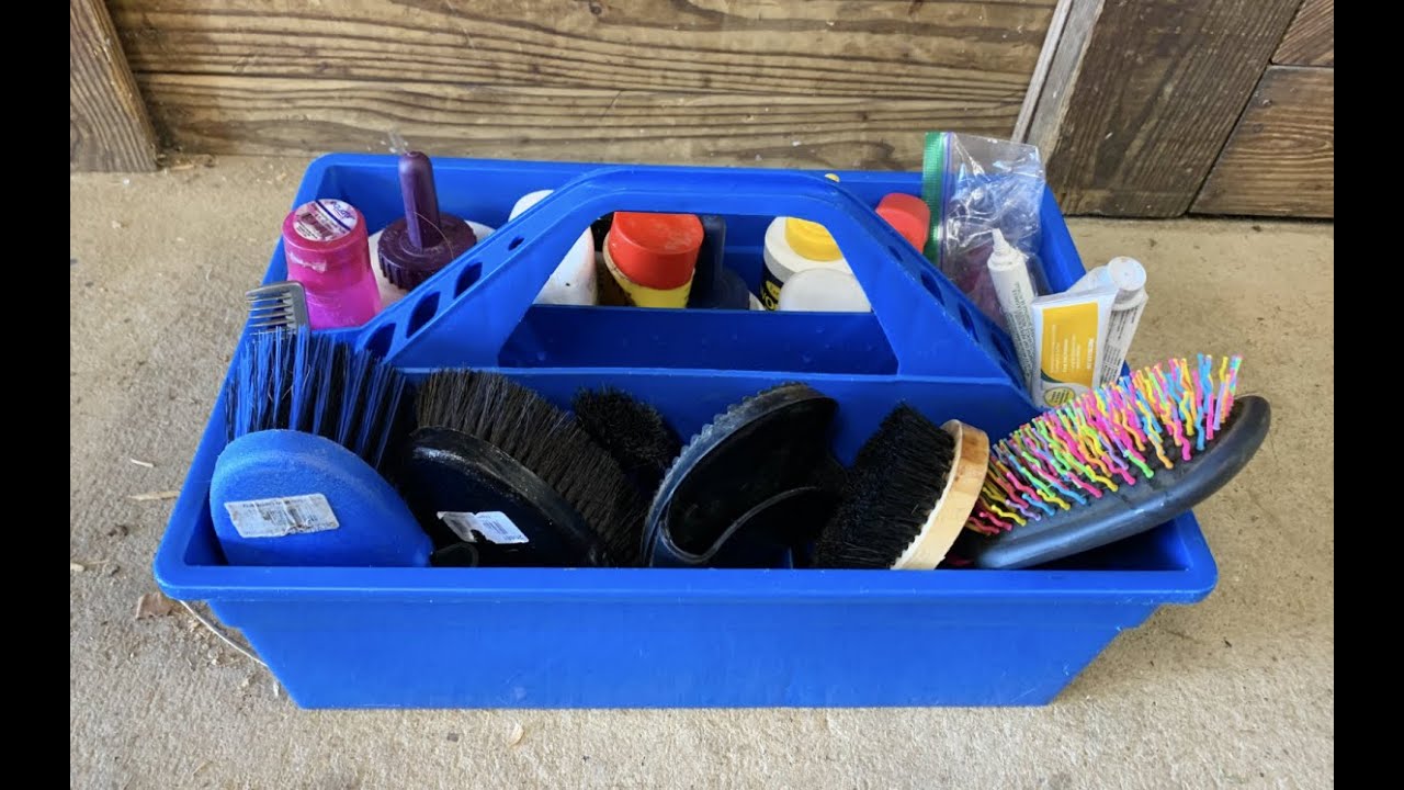 How I Clean My Horse's Grooming Brushes! YouTube