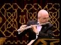 Mozart - Alla turca; Ion Bogdan Stefanescu flute