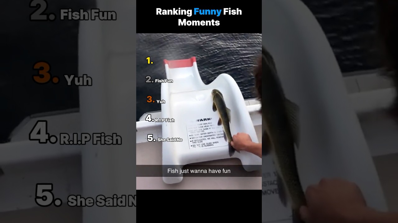 Ranking Funny Fish Moments 