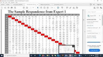 Fuzzy DEMATEL part 2