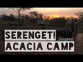 Serengeti Acacia Camp | Tanzania