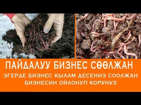 Video: Жер семирткич 