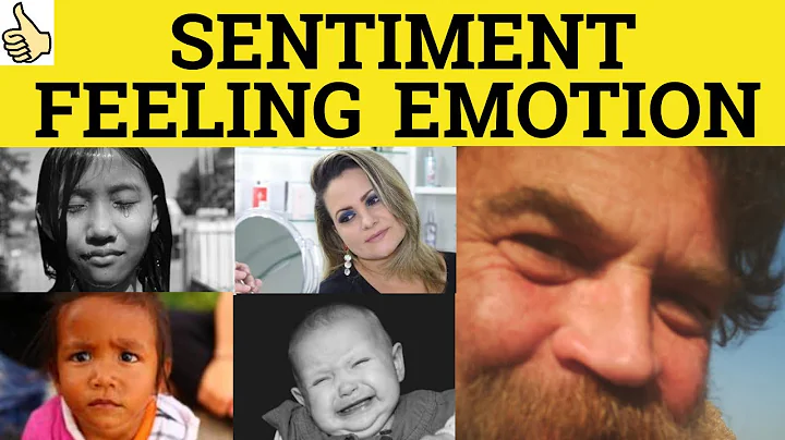 🔵 Sentiment Emotion Feeling - Sentiment Meaning - Emotion Examples -- Feeling in a Sentence - DayDayNews