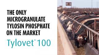TYLOVET® 100 (tylosin phosphate)