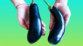 БАКЛАЖАНЫ ЗИМОЙ больше НЕ ПОКУПАЮ! Замороженные баклажаны, которые можно сразу есть. БАКЛАЖАНЫ ЗИМОЙ больше НЕ ПОКУПАЮ! Замороженные баклажаны, которые можно сразу есть.
