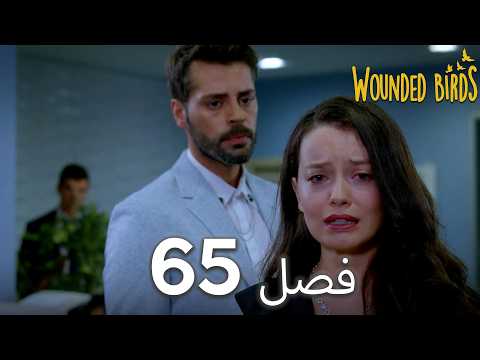 ”الطيور الجريحة“، الحلقة 65 النسخة الكاملة | مدبلجة باللغة الفارسية