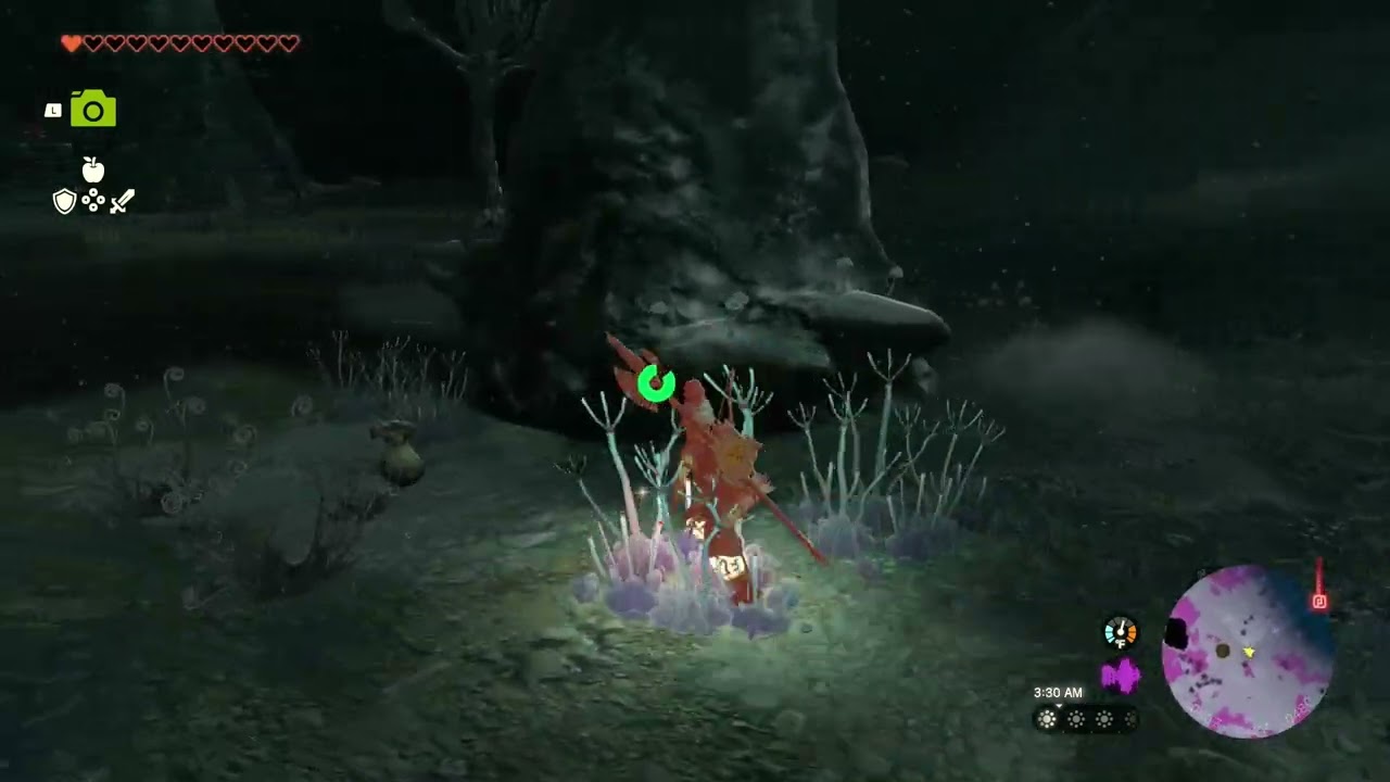 The Legend of Zelda Tears of the Kingdom Part 89- Sinonoyk Lightroot