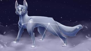 SPEEDPAINT [Warrior Cats] ~Bluestar~ [PaintToolSai] [HD]