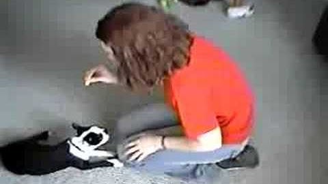 Changing Behavior with Operant Conditioning