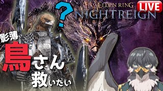 初見常夜グラディウス！影の薄い鳥さん救いたい #9【ELDEN RING NIGHTREIGN】スパチャ禁止