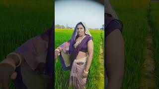 #gaon Ke log##viralshort #dance #bhojpuri #video #ree#ytshortsstatus #india #boost #trending