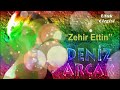 Deniz Arcak - Zehir Ettin [1993] [Flac]