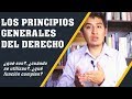 LOS PRINCIPIOS GENERALES DEL DERECHO | Introducción al Derecho (# 7)