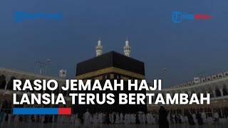 Siskohat: Jemaah Haji Lansia di Atas 95 tahun Tembus 555 Orang, Usia 85 Capai 7.680 Jemaah