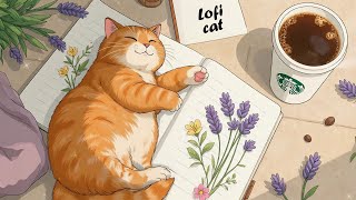 Download Lagu Rustige Lofi-momentenโ๐ท Chill Lofi-herfst ๐ Lofi-hiphop om te studeren, genezen en ontspannen MP3 Download Lagu Rustige Lofi-momentenโ๐ท Chill Lofi-herfst ๐ Lofi-hiphop om te studeren, genezen en ontspannen MP3