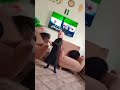 زفو سوريا عروس الكون ترند سوريا تركيا