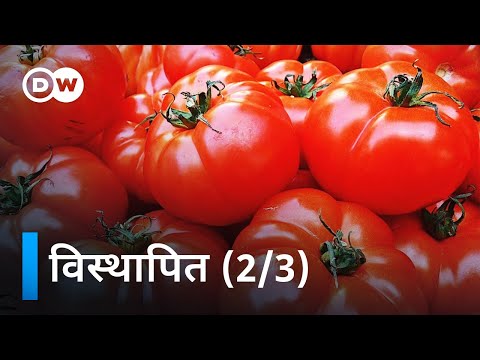 वीडियो: उद्यम के नेता कौन हैं? नेता हैं