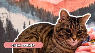 Creating a Calm Corner for a Sensitive Cat