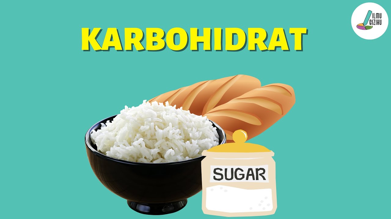 Yuk PAHAMI seputar Karbohidrat I Dasar Ilmu Gizi