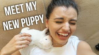 A Week In My Life | My New Puppy, Solar Eclipse And Portland