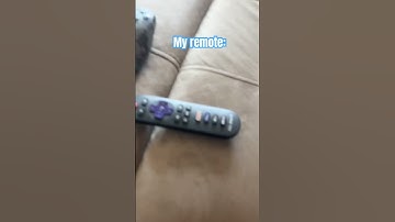 My remote be like #funny #memes