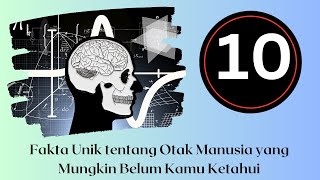 10 Fakta Unik tentang Otak Manusia yang Mungkin Belum Kamu Ketahui