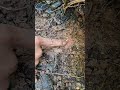 Ooommggg😱😱😱. It turns out there is still a lot of gold hidden here‼️